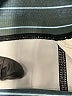 Unbranded Print Teal Active Pants Size 4 - photo 7