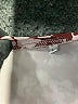 Unbranded Burgundy 3/4 Sleeve Blouse Size L - photo 7
