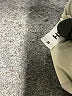 Bloch Solid Gray Green Active Pants Size M - photo 8