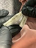 Lovers + Friends Pink Active Pants Size XXS - photo 7