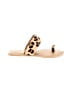 COCONUTS by Matisse Animal Print Tan Sandals Size 7 - photo 1