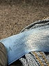 OshKosh B'gosh Blue Jeans Size 8 - photo 4