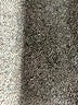 Z Supply Gray Turtleneck Sweater Size L - photo 10