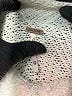 Free People Ivory Turtleneck Sweater Size XS - photo 7