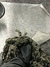 PGA Tour Tweed Black Pullover Sweater Size 1X (estimated) - photo 8