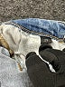 Flying Monkey Hearts Blue Jeans Size 25 waist - photo 7