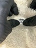 Uniqlo Ivory Jacket Size M - photo 6