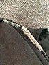 Joe Fresh Black Jeans Size 28 waist - photo 5
