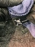 Oakley Blue Pullover Hoodie Size M - photo 8