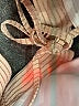 Unbranded Gold Swimsuit Top Size XS (estimated) - photo 3