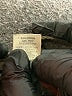 Ecru Tweed Brown Casual Pants Size 8 - photo 8