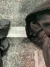 Fashion Bug 100% Polyester Black Short Sleeve Blouse Size 1X - photo 8