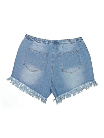 Hayden Denim Shorts (view 2)