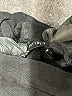 Cotton On Solid Black Formal Skirt Size XS - photo 4