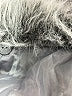 Unbranded 100% Polyester Solid Gray Snow Jacket Size L - photo 6