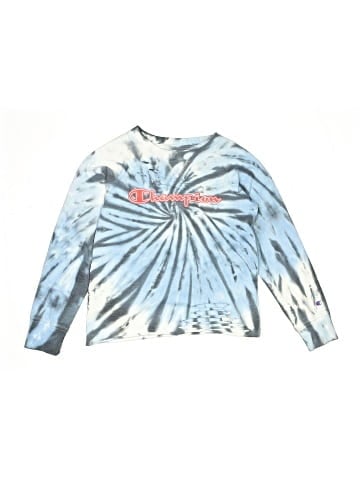 Champion Sweatshirt (view 1)