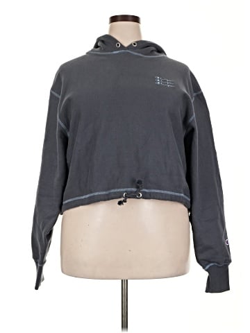 Champion Sweatshirt (view 1)