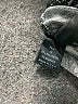 Fab'rik Print Black Leggings Size M - photo 5
