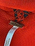Free People Red Orange Cocktail Dress Size 2 - photo 7