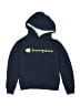 Champion Blue Zip Up Hoodie Size M (youth) - photo 1