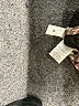 Ann Taylor LOFT Animal Print Brown Long Sleeve Blouse Size XS (petite) - photo 8