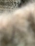 Zara Silver Ivory Turtleneck Sweater Size S - photo 7