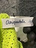 Aeropostale Green Pullover Sweater Size L - photo 7