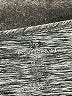 Unbranded Tweed Gray Short Sleeve T-Shirt One size - photo 7