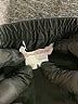 Ingrid + Isabel Black Track Pants Size L - photo 3