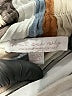 Don't Ask Why 100% Viscose Stripes Brown Casual Pants One size (estimated) - photo 7