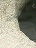 Zara Black Short Sleeve Turtleneck Size L - photo 8