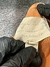 Evy's Tree Tan Orange Sweatshirt Size XL - photo 7