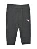 Puma Gray Casual Pants Size 4T - photo 1