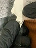 Avec Les Filles 100% Polyester Brown Jacket Size XS - photo 8