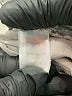 Garnet Hill Gray Ivory Khakis Size 8 - photo 8