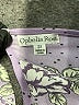 Ophelia Roe 100% Polyester Purple Long Sleeve Blouse Size 2X - photo 7