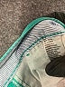 Red Camel Solid Teal Shorts Size 7 - photo 4