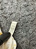 Valija Yellow Short Sleeve Blouse Size S - photo 8
