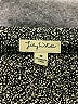 Lily White Tweed Gray Formal Skirt Size M - photo 4
