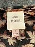 Knox Rose Animal Print Brown Cocktail Dress Size S - photo 4