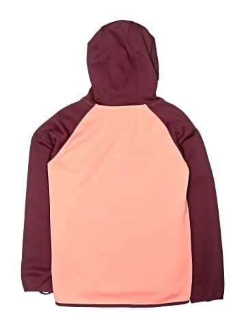 Burton Pullover Hoodie (view 2)