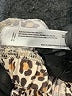 Flora Nikrooz Animal Print Ivory Casual Pants Size S - photo 8