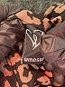 Windsor Brown Sleeveless Top Size L (estimated) - photo 7