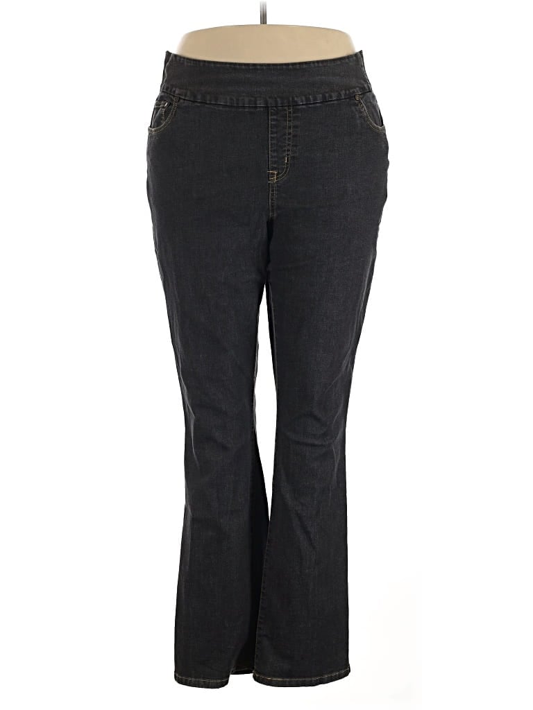 Pre-owned Woman Within Jeans In Gray