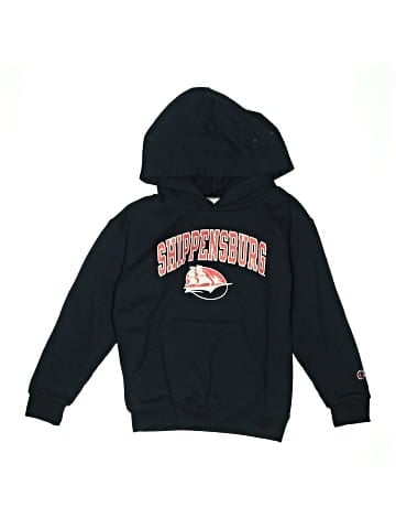 Champion Sweatshirt (view 1)