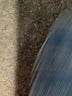GB Blue Denim Skirt Size L - photo 5