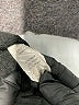 CAbi Black Casual Pants Size 4 - photo 8