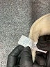 Marine Layer 100% Polyester Ivory Faux Fur Jacket Size XS - photo 7