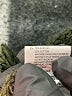 RD Style Green Cardigan Size M - photo 8