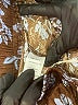 Allie Rose 100% Polyester Paisley Brown Casual Pants Size S - photo 7